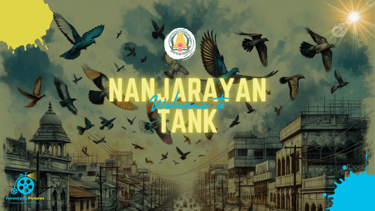 Nanjarayan Tank - A melody of life amidst Tirupur's Vibrant Symphony.